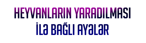 Hayvanların Yaratılışı ile İlgili Ayetler