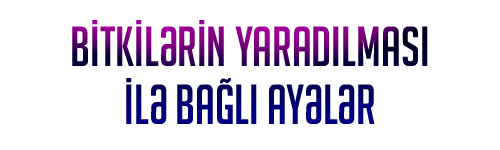 Bitkilerin Yaratılışı ile İlgili Ayetler