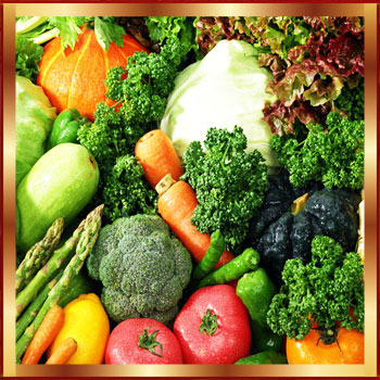 Bitkilerin Yaratılışı ile İlgili Ayetler