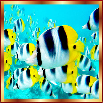 Hayvanların Yaratılışı ile İlgili Ayetler