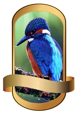 Tevrat'ta Evrendeki Düzen ve Yaratılış